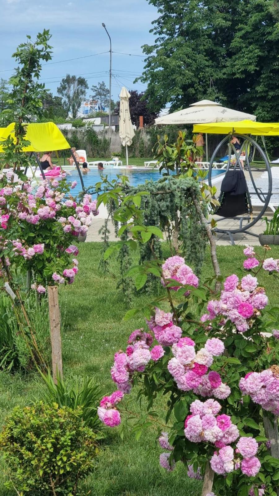 Hotel Iulia Resort Venus Eksteriør billede
