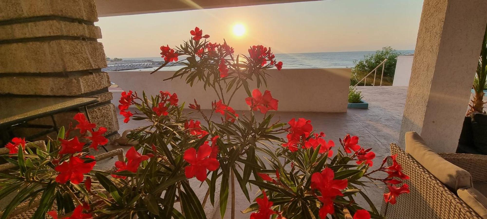 Hotel Iulia Resort Venus Eksteriør billede