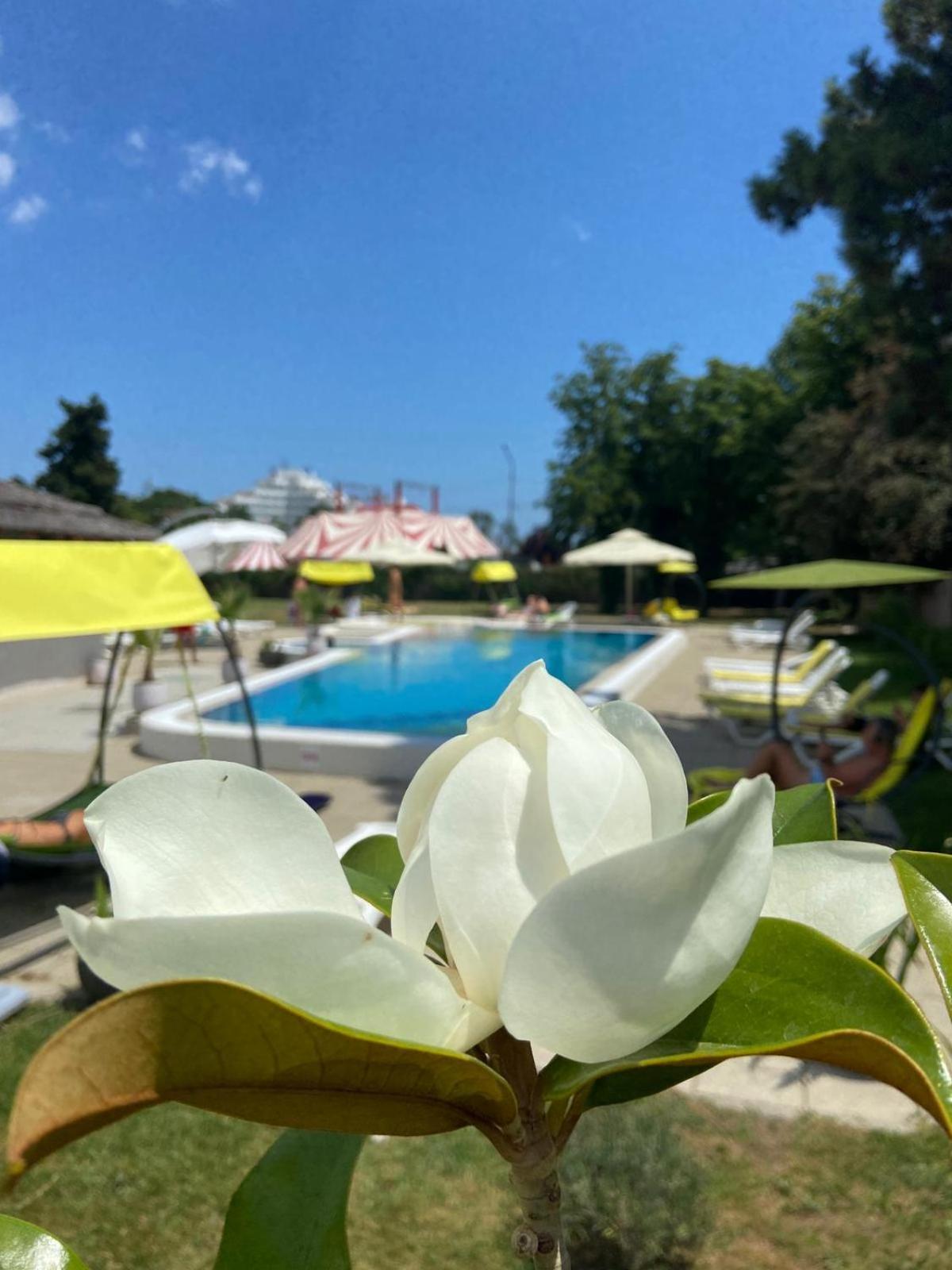 Hotel Iulia Resort Venus Eksteriør billede